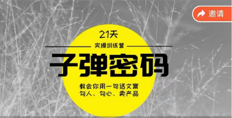 《子弹密码训练营》用一句话文案勾人勾心卖产品，21天学到顶尖文案大师策略和技巧8204 作者:福缘创业网 帖子ID:108624 