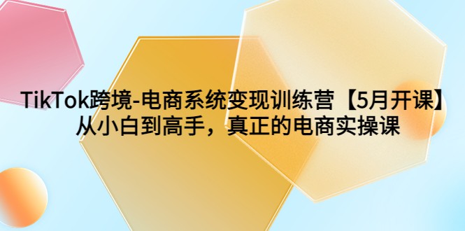 TikTok跨境-电商系统变现训练营【5月新课】从小白到高手，真正的电商实操课