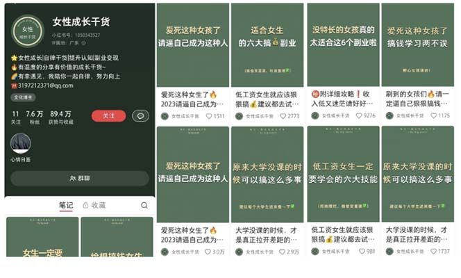 小红书针对不同行业的引流玩法，从零基础到养号、制作、引流等，全线一条龙