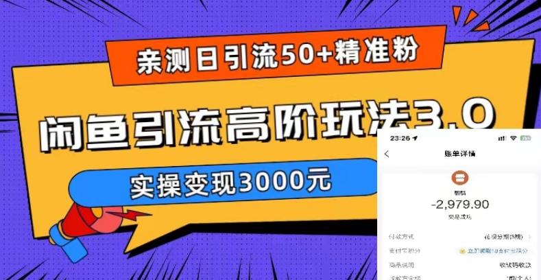 【引流变现】日引50+精准粉，闲鱼引流高阶玩法3.0，实操变现3000元