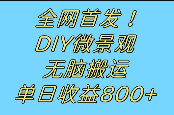 全网首发冷门赛道！DIY微景观，无脑搬运视频，日收益800+8382 作者:福缘创业网 帖子ID:103063 