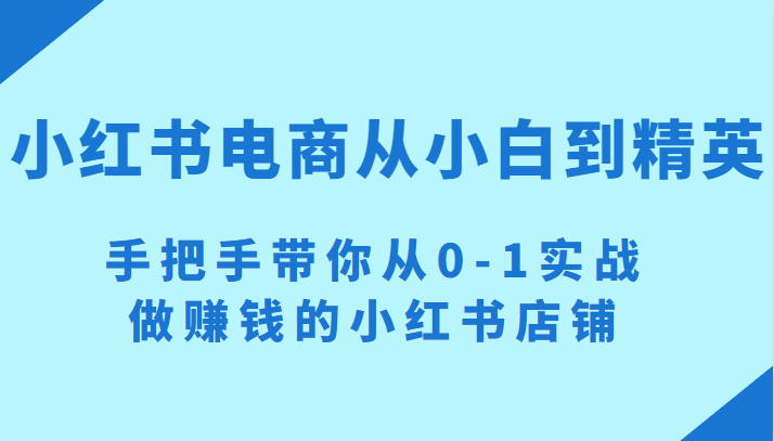 小红书电商项目：从小白到精英 手把手带你从0-1实战做赚钱的小红书店铺