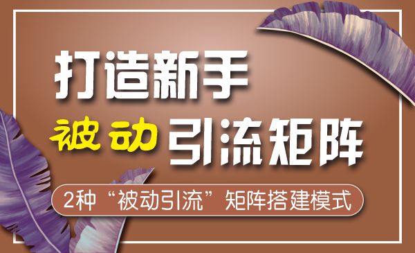 2种引流矩阵搭建模式，掌握1种，每天引流轻松破百！