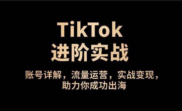 TikTok进阶实战课：账号详解，流量运营，实战变现，助力你成功出海