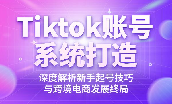 Tiktok账号系统打造，深度解析新手起号技巧与跨境电商发展终局