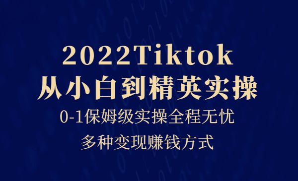 Tiktok从小白到精英实操，0-1保姆级实操全程无忧，多种变现赚钱方式