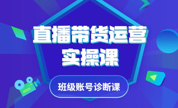 风清扬大春《直播带货运营实操课》，班级账号诊断课价值3980元