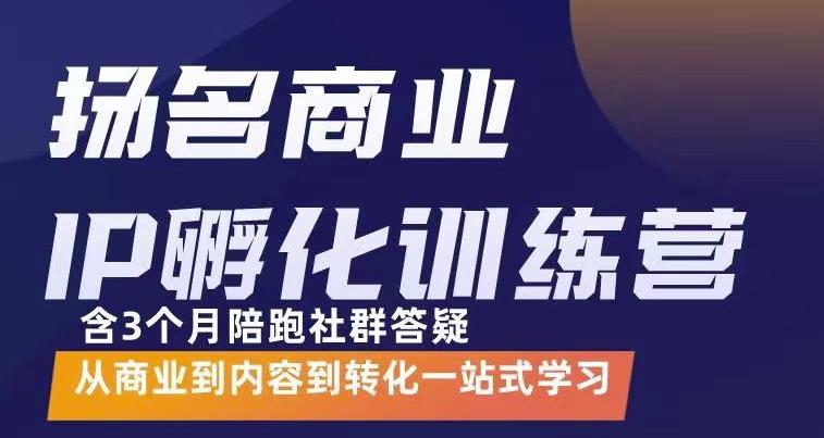 杨名商业IP孵化训练营，从商业到内容到转化一站式学 价值5980元（无水印）