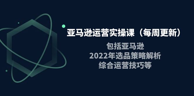 [跨境电商] 亚马逊运营实操课，包括亚马逊2022选品策略解析，综合运营技巧等插图