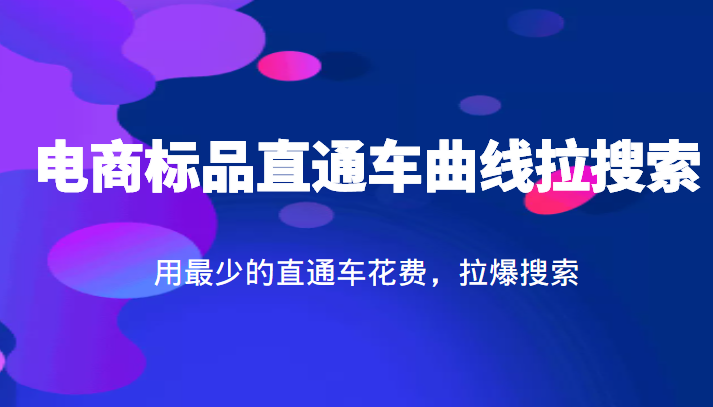 淘系电商：电商标品直通车曲线拉搜索，用最少的直通车花费，拉爆搜索插图