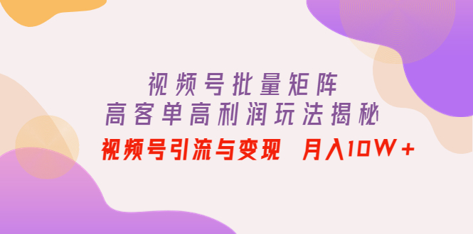 视频号批量矩阵的高客单高利润玩法揭秘： 视频号引流与变现 月入10W+插图