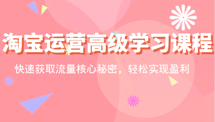 淘系电商 淘宝运营高级学习课程：快速获取流量核心秘密，轻松实现盈利！插图