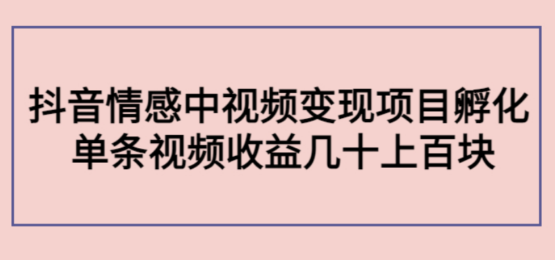 抖音中视频情感变现项目孵化营第5期  单条视频收益上百