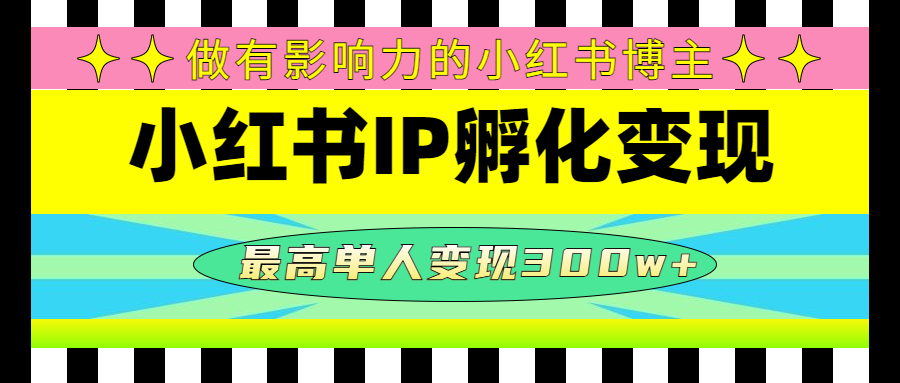 小红书IP孵化变现：做有影响力的小红书博主，最高单人变现300w+插图