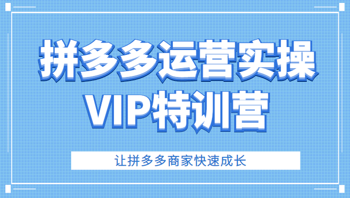 拼多多运营实操VIP特训营，让拼多多商家快速成长（价值3180元）插图