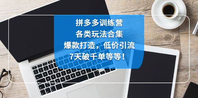 拼多多电商训练营：各种玩法合集，爆款打造，低价引流，7天破千单等等插图