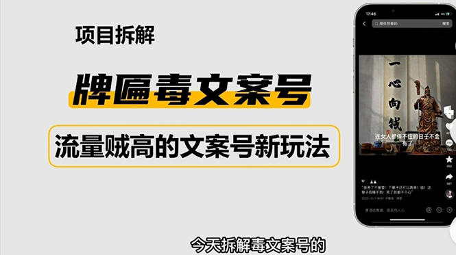 2023抖音快手毒文案新玩法，牌匾文案号，起号快易变现插图