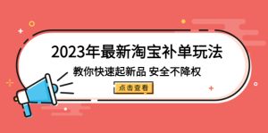 【淘系电商】2023年最新淘宝补单玩法，教你快速起·新品，安全·不降权（18课时）插图